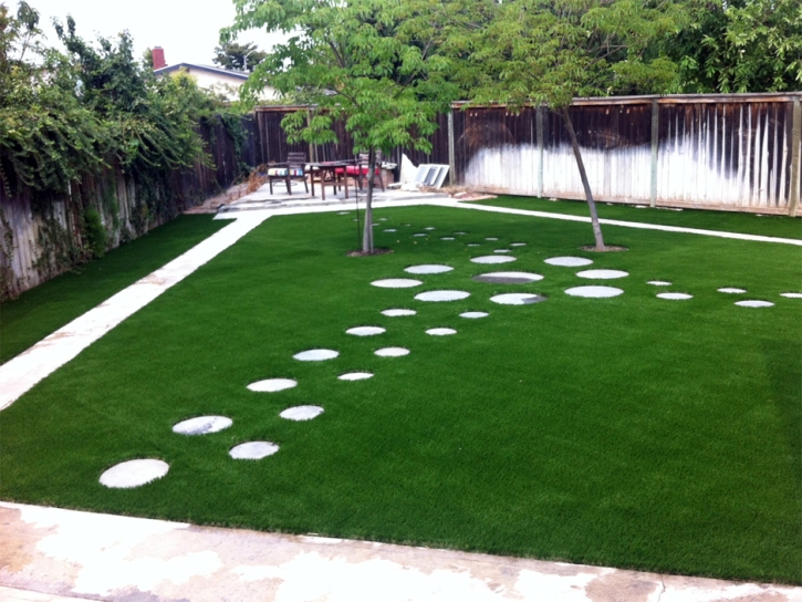 Fake Grass North Glendale, California Landscaping, Small Backyard Ideas