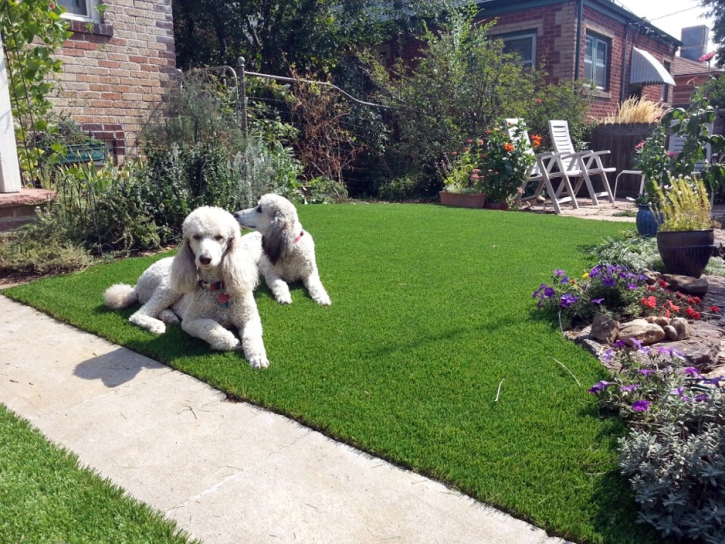 Fake Grass North Hollywood, California Backyard Playground, Front Yard Landscaping