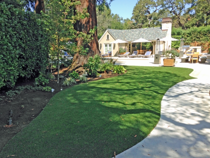 Fake Grass San Clemente, California Lawns, Commercial Landscape