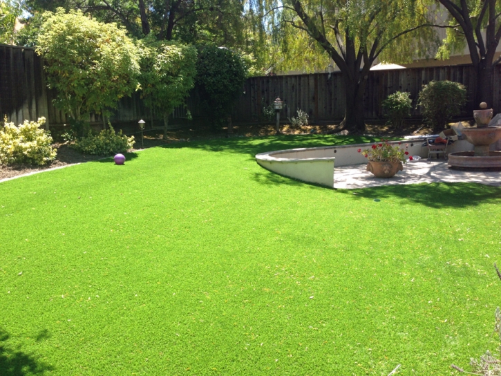 Fake Grass Valinda, California Gardeners, Backyard Designs