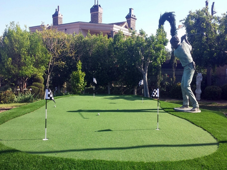 Fake Grass Willowbrook, California City Landscape, Backyards