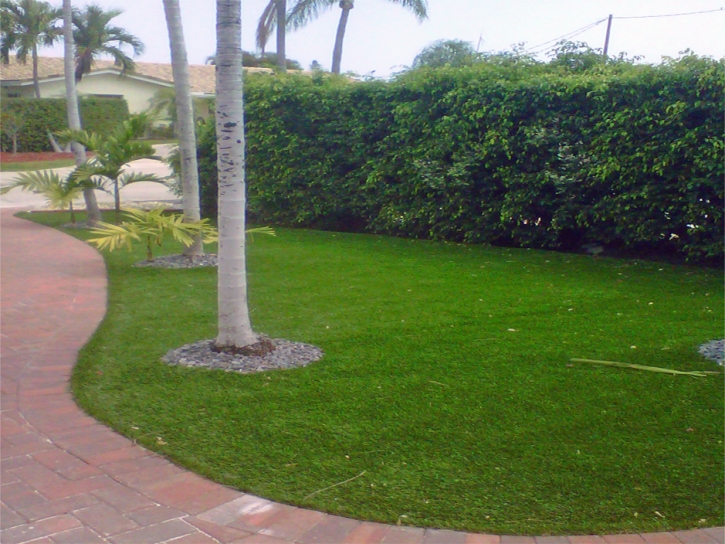 Fake Lawn Grand Terrace, California Landscape Rock, Front Yard Design