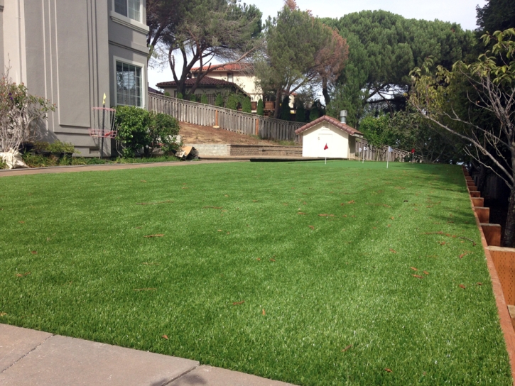 Fake Lawn La Habra Heights, California Garden Ideas, Beautiful Backyards