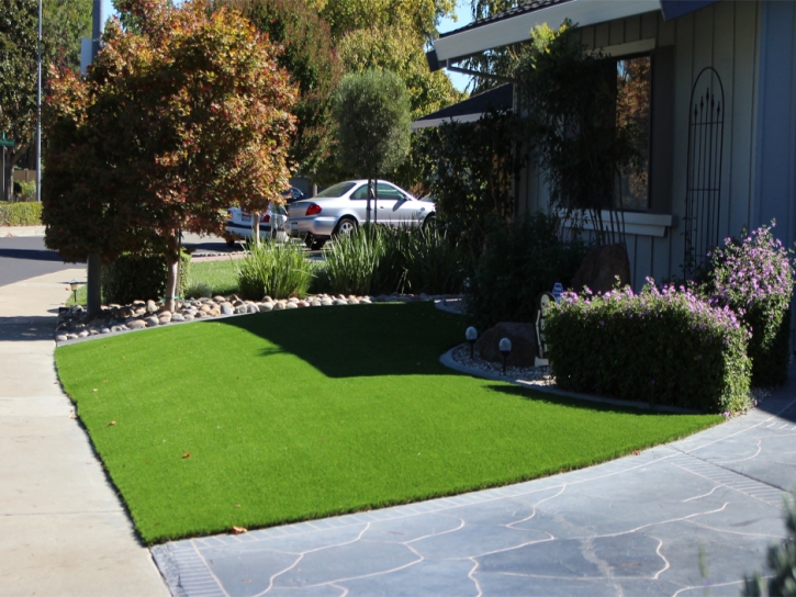 Fake Lawn Ladera Heights, California Landscape Ideas, Front Yard Ideas