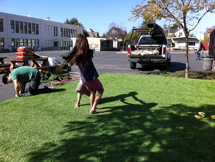 Fake Lawn Nuevo, California Lawn And Landscape, Commercial Landscape