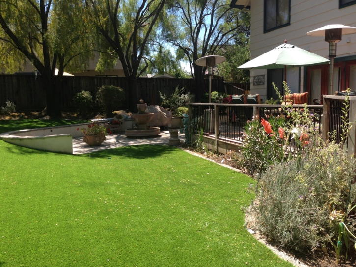 Fake Lawn Rancho Cucamonga, California Lawn And Landscape, Backyard Designs