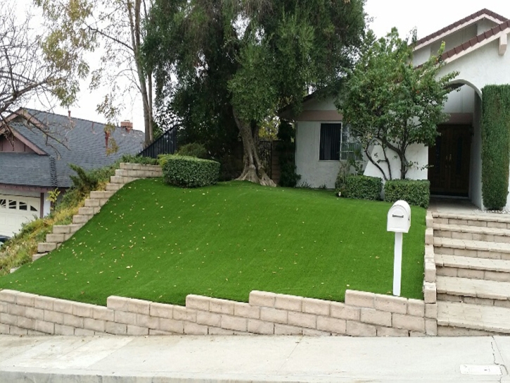 Fake Lawn South Gate, California Gardeners, Front Yard Design