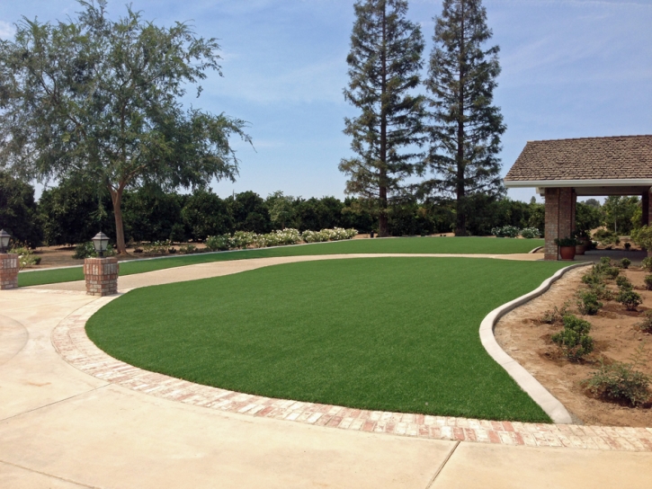 Fake Turf Carson, California Gardeners, Front Yard Landscape Ideas