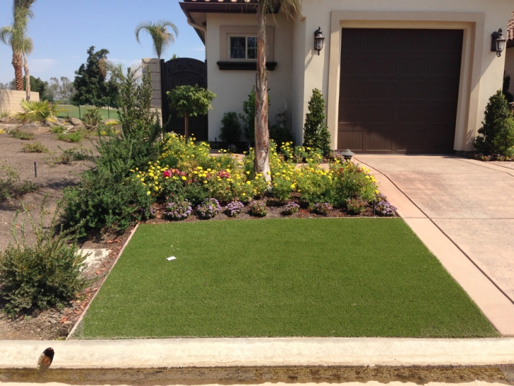 Fake Turf Del Mar, California Rooftop, Front Yard Ideas