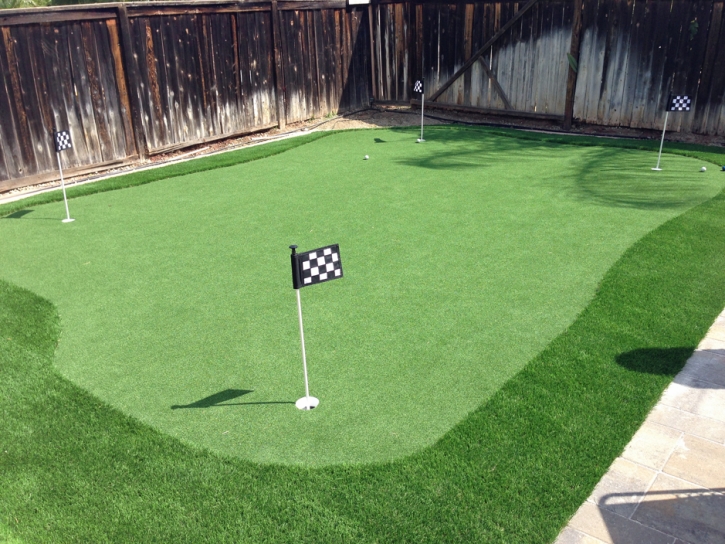 Fake Turf East Los Angeles, California Indoor Putting Greens, Backyard Design