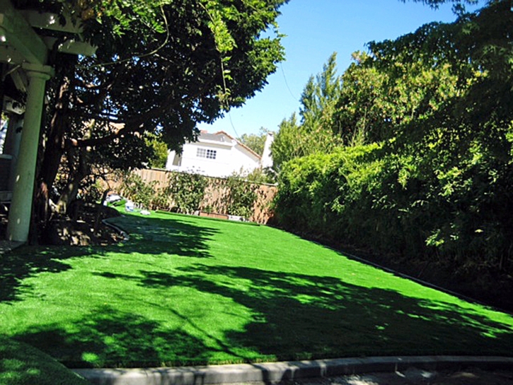 Fake Turf El Segundo, California Landscaping, Backyard Landscaping