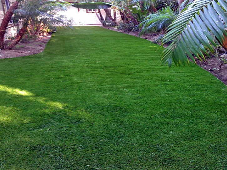 Fake Turf Mira Monte, California Landscaping, Backyard Landscape Ideas