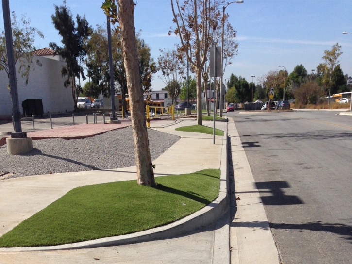 Fake Turf Perris, California Landscape Ideas, Commercial Landscape