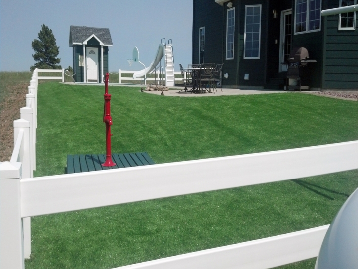 Fake Turf Rosamond, California Lawn And Garden, Front Yard