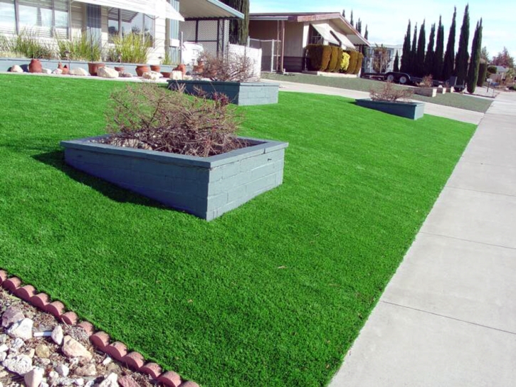 Fake Turf Seal Beach, California Lawn And Garden, Front Yard Landscaping