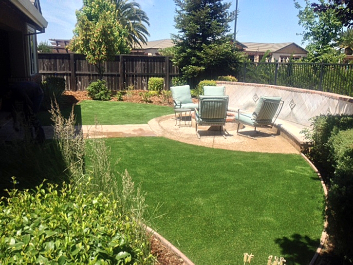 Fake Turf Thousand Oaks, California Landscape Ideas, Backyard Landscape Ideas