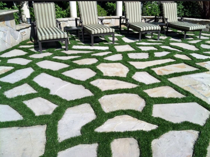 Fake Turf Toro Canyon, California Landscape Photos, Backyard Landscaping Ideas