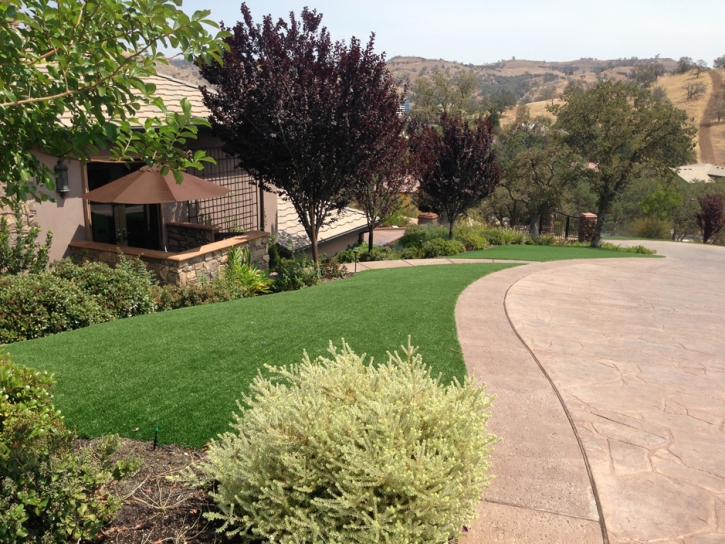 Faux Grass Agoura, California Landscape Photos, Front Yard Landscaping