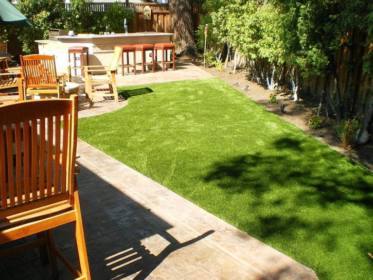 Faux Grass Baldwin Park, California Indoor Dog Park, Backyards