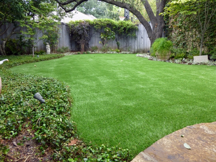 Faux Grass Colton, California Landscaping, Backyard Design