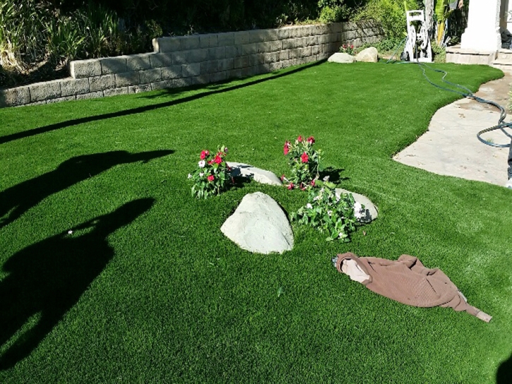 Faux Grass Huntington Beach, California Backyard Playground, Front Yard