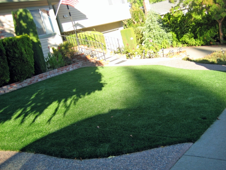 Faux Grass Lake Forest, California Landscaping Business, Front Yard Landscaping Ideas