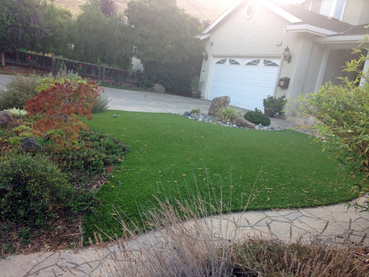 Faux Grass Quail Valley, California City Landscape, Front Yard Landscaping