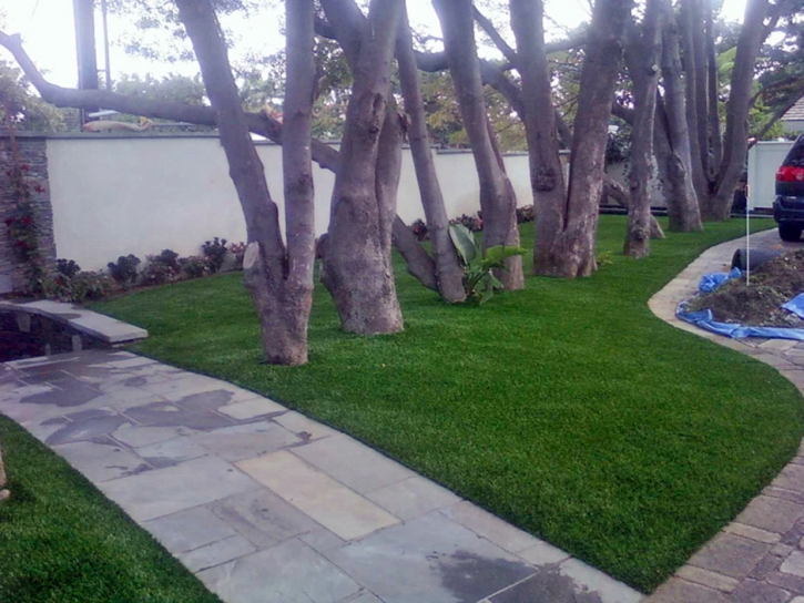 Faux Grass Rancho Palos Verdes, California City Landscape, Small Front Yard Landscaping