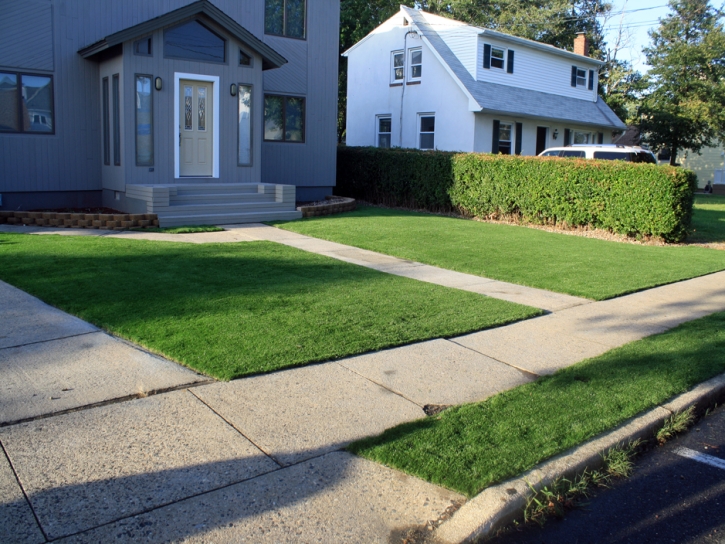 Faux Grass Solana Beach, California Lawns, Front Yard Landscape Ideas