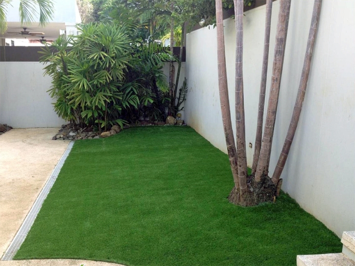 Faux Grass Whittier, California Home And Garden, Backyard Ideas