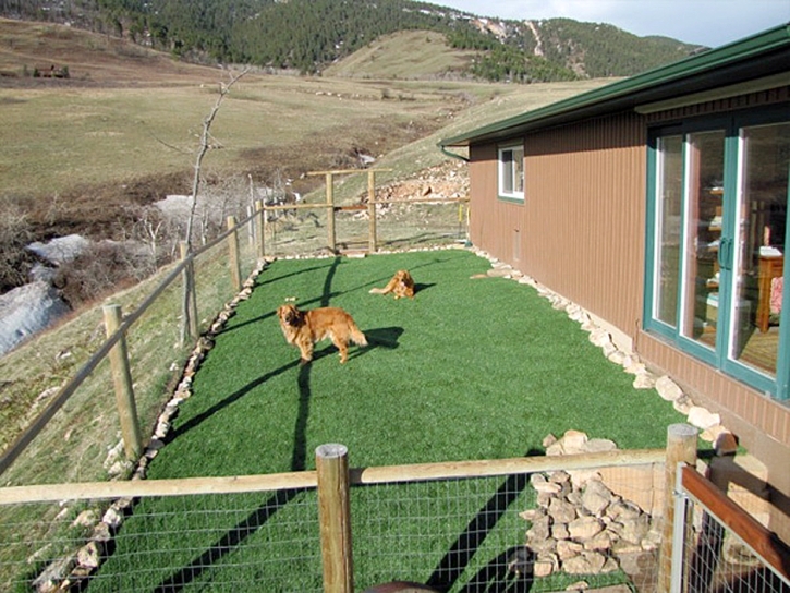 Grass Carpet La Habra Heights, California Fake Grass For Dogs, Backyard Landscaping Ideas