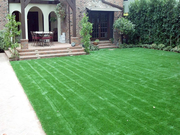 Grass Carpet Mead Valley, California Roof Top, Front Yard Landscape Ideas