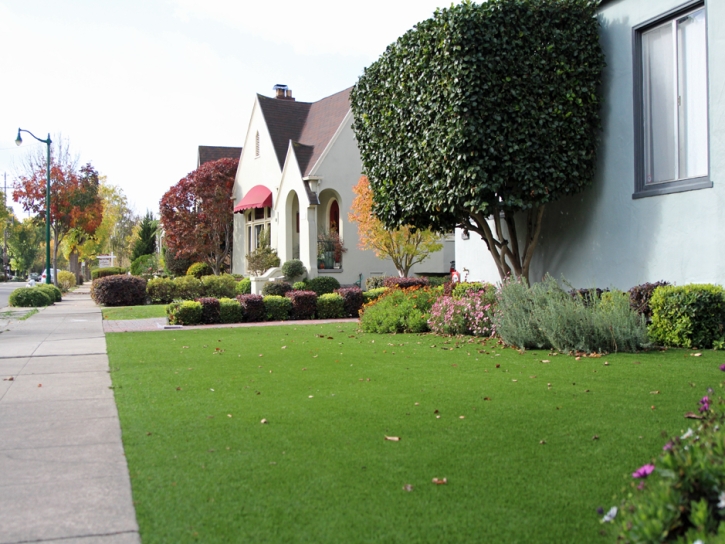 Grass Carpet Meiners Oaks, California Lawn And Landscape, Front Yard Design