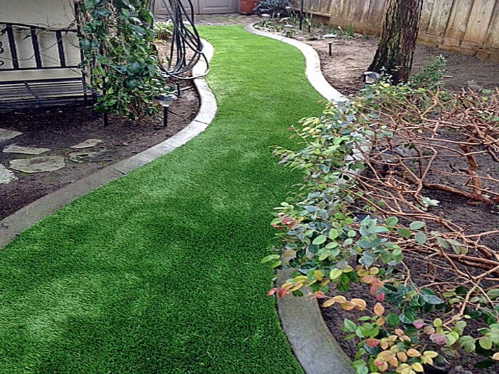 Grass Carpet Norwalk, California Landscape Design, Backyards