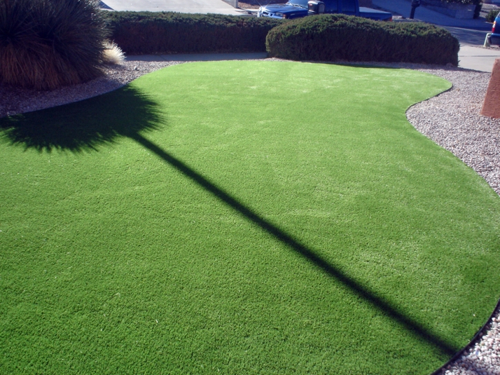 Grass Carpet Perris, California Garden Ideas, Front Yard