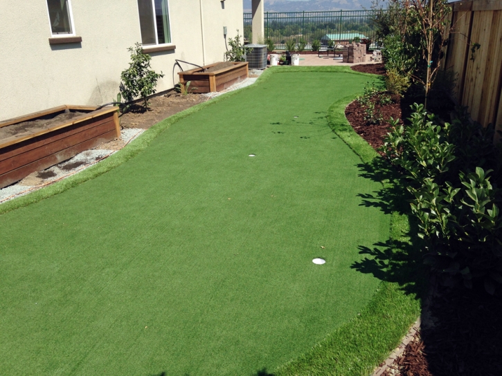 Grass Carpet San Jacinto, California Artificial Putting Greens, Backyard