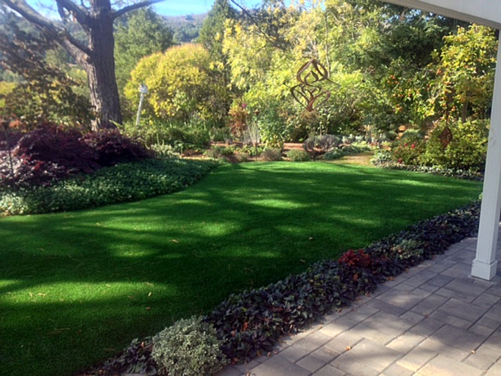 Grass Carpet Westlake Village, California Landscape Photos, Beautiful Backyards