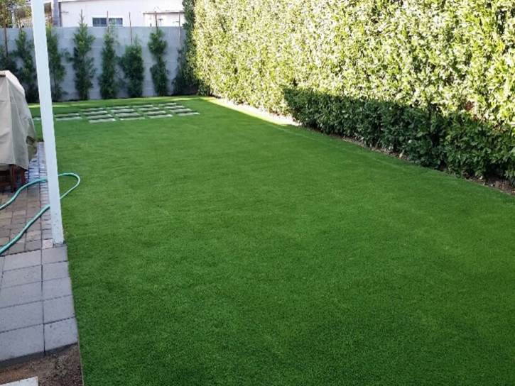 Grass Installation Florence-Graham, California Lawns, Backyard Landscaping