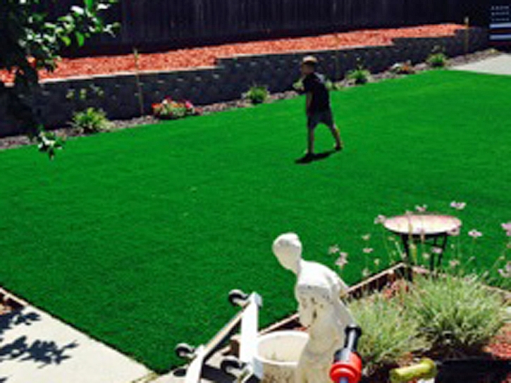 Grass Installation Garnet, California Design Ideas, Beautiful Backyards