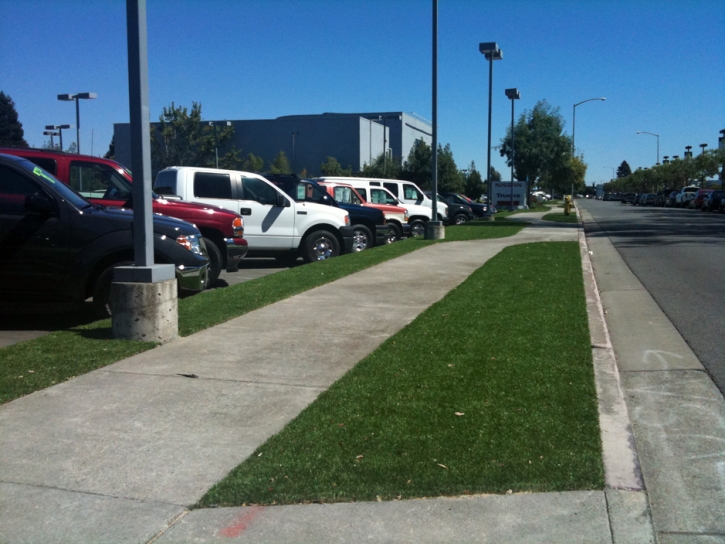 Grass Installation Inglewood, California Landscape Photos, Commercial Landscape