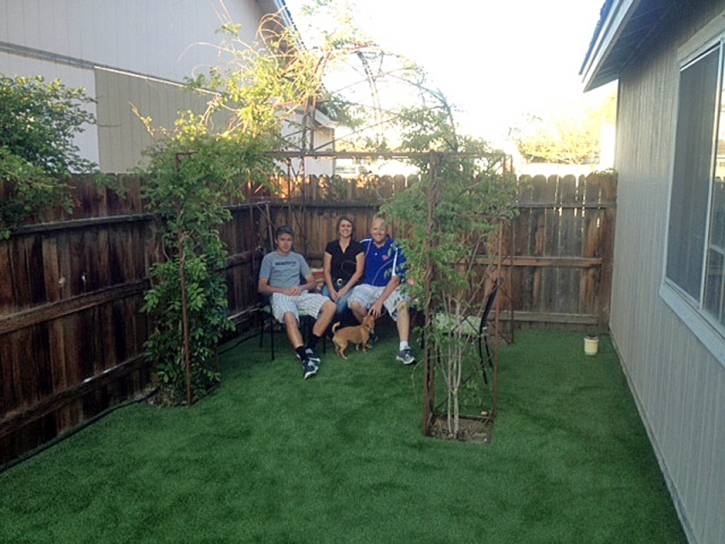 Grass Installation Lake Elsinore, California Roof Top, Dogs