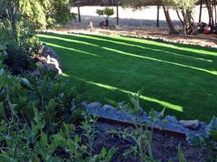 Grass Installation National City, California Garden Ideas, Backyard Makeover