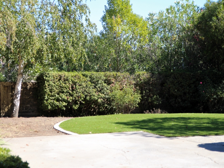 Grass Turf Commerce, California Rooftop, Backyard Landscape Ideas