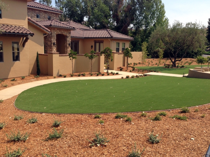 Grass Turf La Crescenta-Montrose, California City Landscape, Front Yard Landscaping