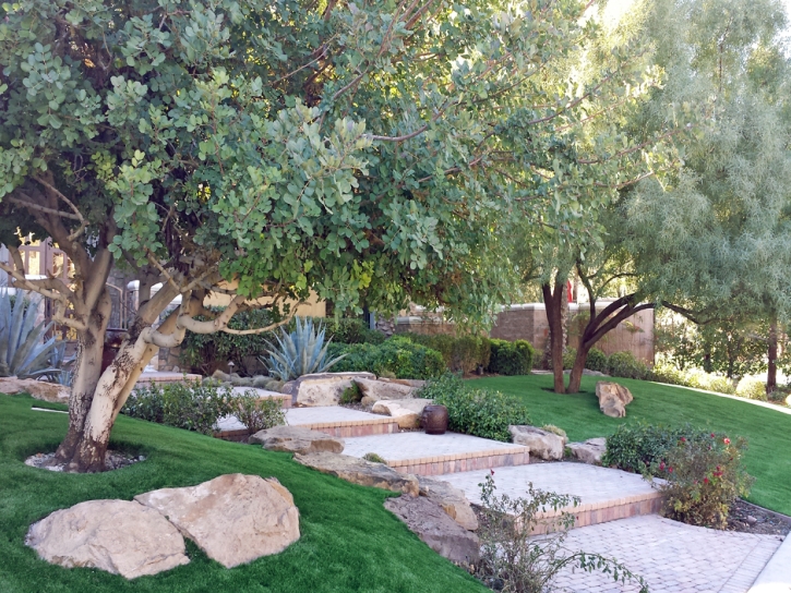 Grass Turf Mentone, California Landscape Ideas, Backyard Landscaping