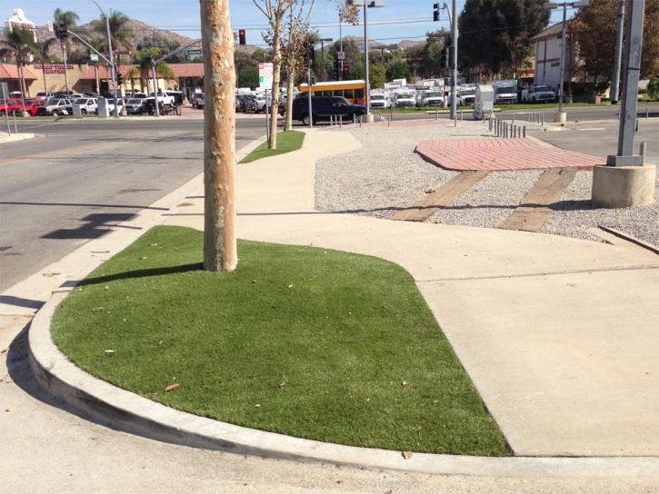 Green Lawn Corona, California Lawns, Commercial Landscape