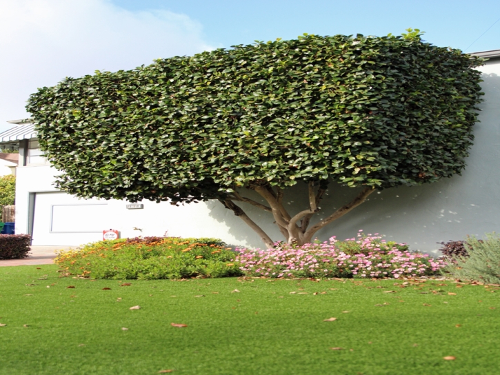 Green Lawn Eucalyptus Hills, California Landscape Rock, Front Yard Landscaping