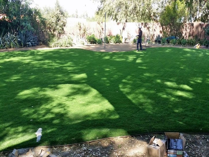 Green Lawn Fountain Valley, California Backyard Playground, Beautiful Backyards