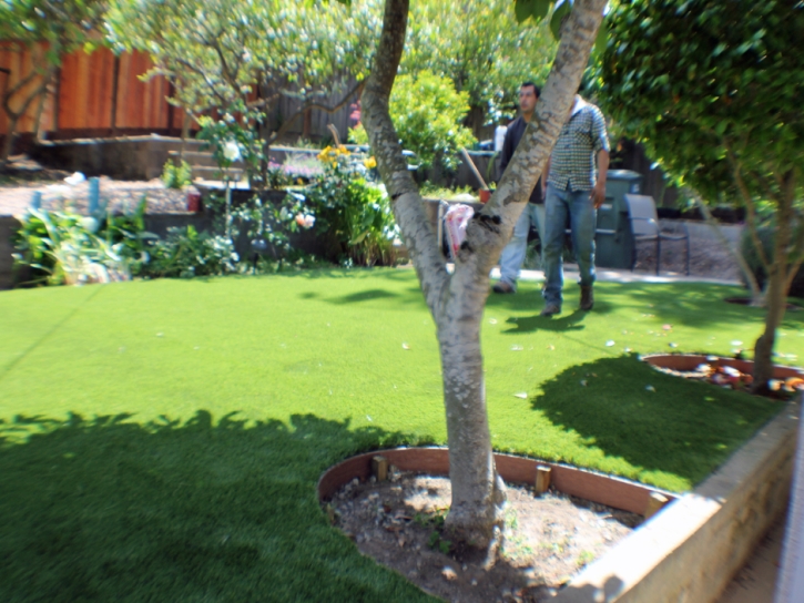 Green Lawn Inglewood, California Lawn And Garden, Backyards