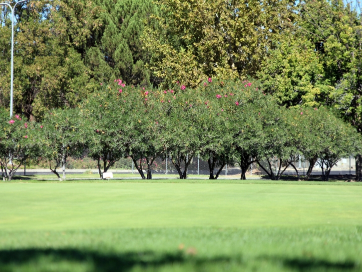 Green Lawn Lennox, California Lawn And Landscape